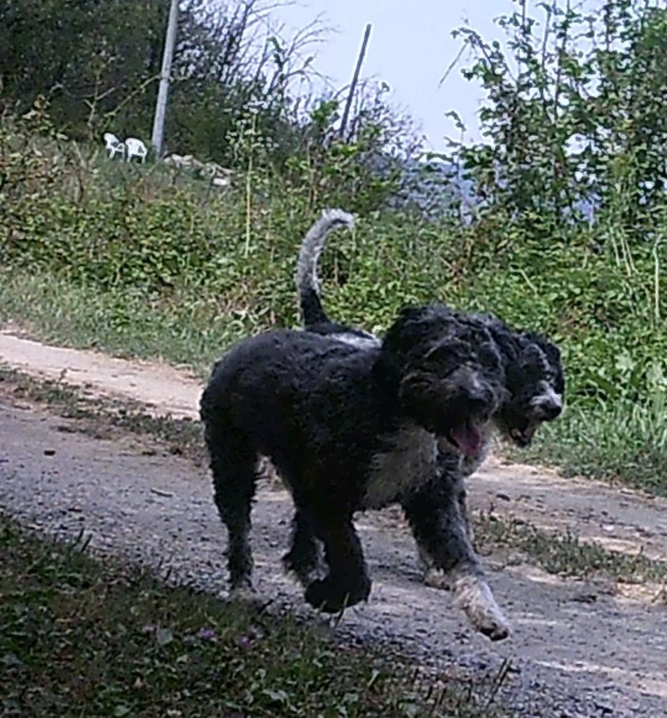 gas-pipeline la cuccia del sole langhe casa vacanza fuori 006