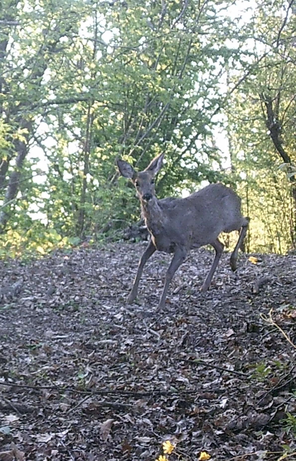 la cuccia del sole langhe casa vacanza fuori 019