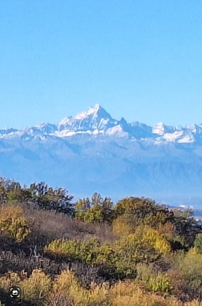 gas-pipeline la cuccia del sole langhe casa vacanza fuori 048