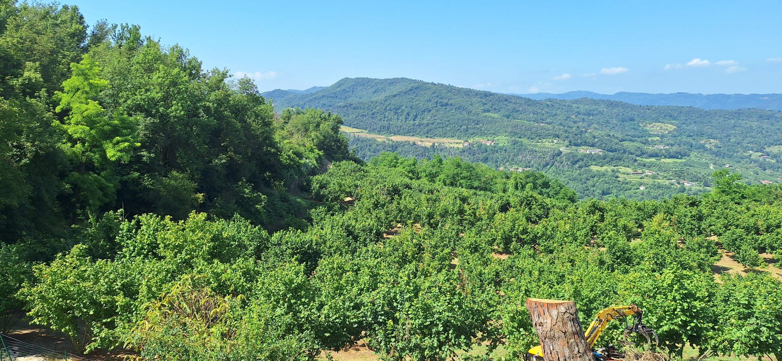 vision La Cuccia Del Sole Langhe Casa Vacanza Fuori 029 Scaled